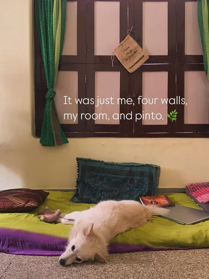 The Janbo began not with clay, but with silence. After burning out, I paused everything. It was in that quiet space, with just my dog Pinto for company, that I found the path back to myself. This story is the foundation of our studio, a place built for healing and rediscovery through art.