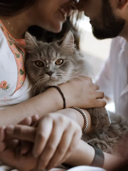 An intimate close-up where the couple's cat takes center stage. This unique and sweet shot is perfect for couples who consider their pets part of the family.