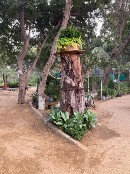 I love incorporating unique, upcycled art into garden designs. Here, I turned an old tree trunk into a whimsical character using bicycle wheels for glasses and a pot for a hat, adding a fun and personal touch.