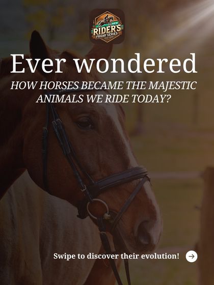 Ever wondered how horses evolved? This post kicks off an educational series on the history of the horse, from ancient ancestors to the modern breeds we know and love today.