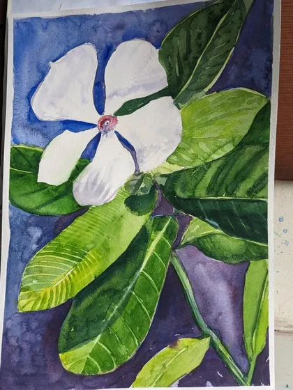 A beautiful floral study in watercolor by one of our adult hobby class students. The vibrant colors and delicate details of the periwinkle flower are captured perfectly.