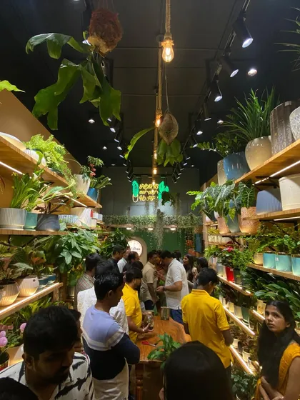 The best part of my day is seeing the studio buzzing with fellow plant enthusiasts. It's a joy to share this space with a community of people who find happiness in greenery, just like I do.