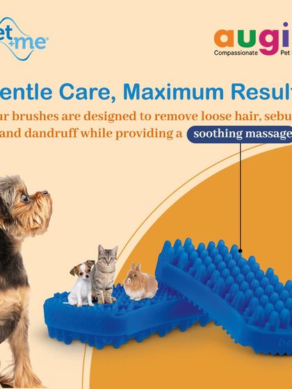 Augie Pets - Pet Grooming Services Brushes, Clippers & Essential Tools photo 6