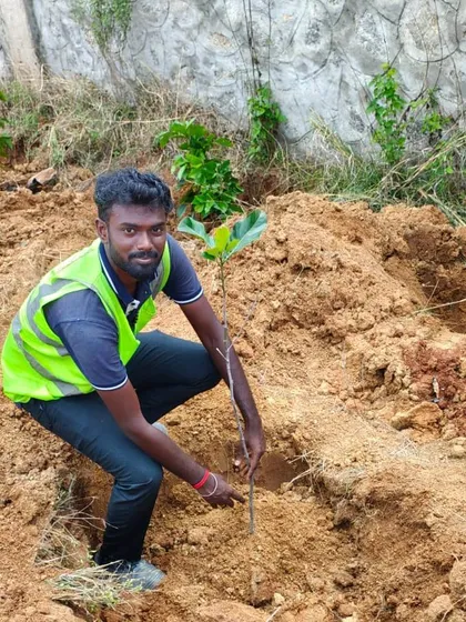 A member of our team plants a young sapling. We handle all aspects of planting, from soil preparation to ensuring each plant is properly established for long-term growth.
