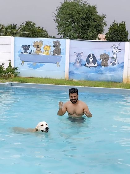 Fluffy Paws Pet Resort - Dog Park & Swimming Pool Splash & Swim: Our Human-Friendly Pool photo 14