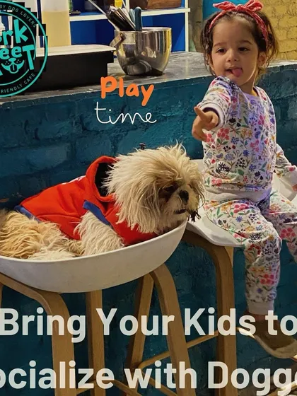 Playtime is for everyone! We've created a safe and fun space for kids to socialize with doggos. It's a great way for little ones to learn about empathy and compassion while making new furry friends.