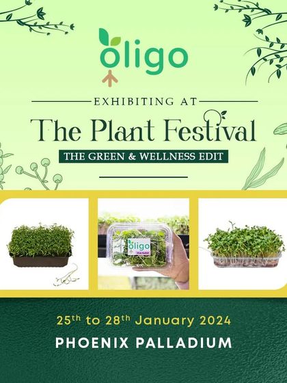 A Platform for Green Businesses photo 13