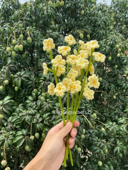 Everlasting Bouquets & Stems photo 121