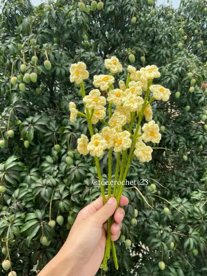 A sweet bouquet of pale yellow forget-me-nots.