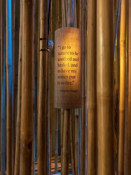 A detail from 'Edge of the Forest', where a quote about nature is inscribed on a piece of cork hanging amidst a forest of bamboo poles. This element adds a layer of poetic narrative to the space.