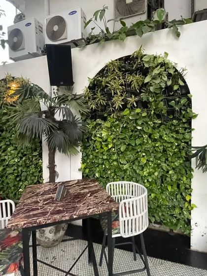 This living wall at Diablo incorporates a mix of different plant species, creating varied textures and shades of green within the arched frame.