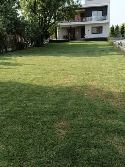 A finished residential lawn project that I am very proud of. I installed this expansive, beautiful turf for a farmhouse, creating a perfect space for relaxation and family activities.