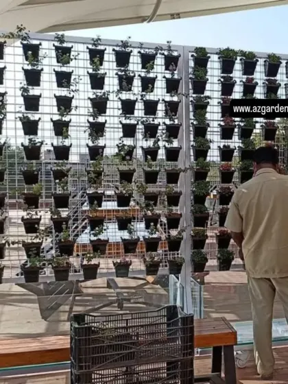 A to Z Gardening - Vertical Gardens Living Vertical Gardens photo 3