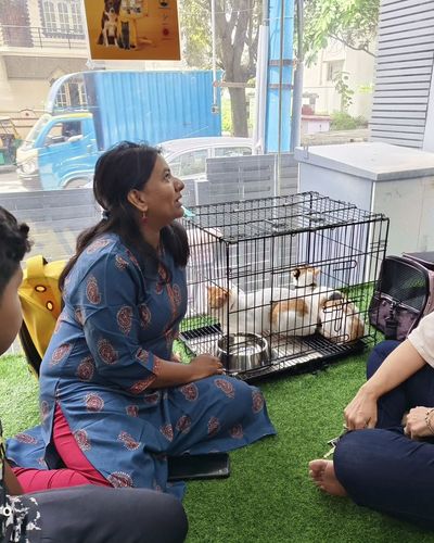 Community Pet Events