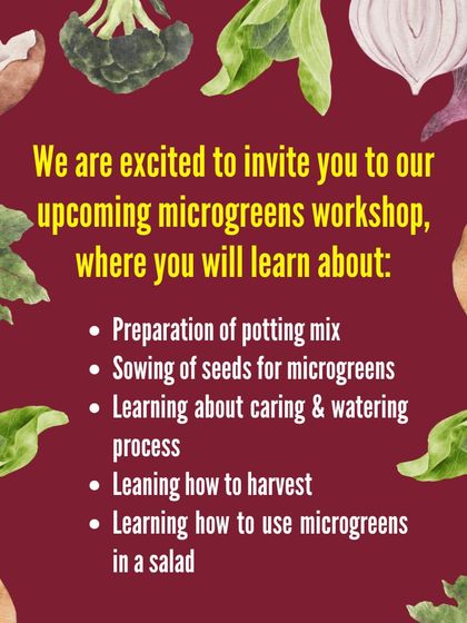 A list of what you will learn in our upcoming microgreens workshop, from preparing the potting mix to using the greens in a salad.