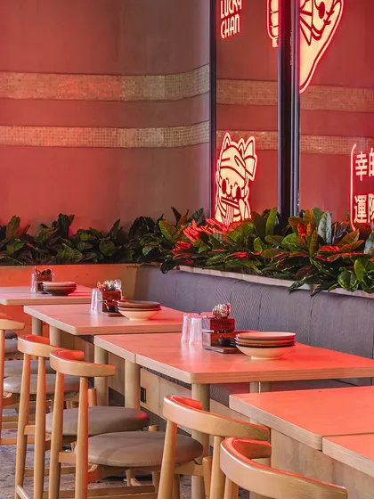 The entire seating area is bathed in a warm, red neon glow, creating an energetic and intimate ambiance. This consistent use of colored light is key to the restaurant's signature vibe.