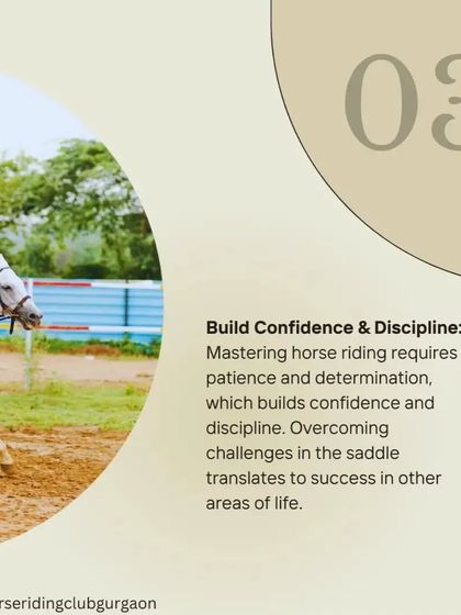 Riding helps build confidence and discipline. Overcoming challenges in the saddle translates to success in other areas of life.