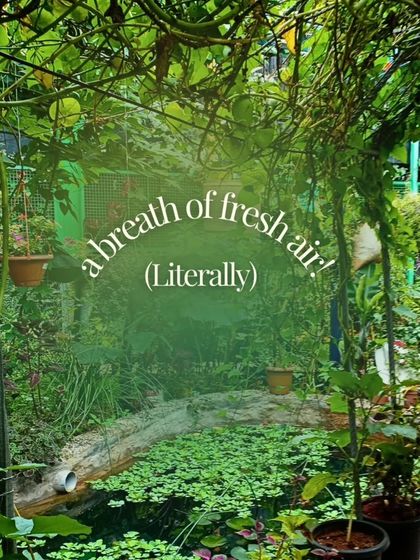 A lush photo of our permaculture garden, captioned "a breath of fresh air (Literally)," showcasing the green oasis we've created within the city.