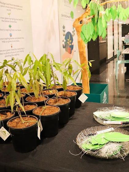 More saplings and pledge leaves ready for our Green Warriors. These simple tools empower everyone to take part in our mission.