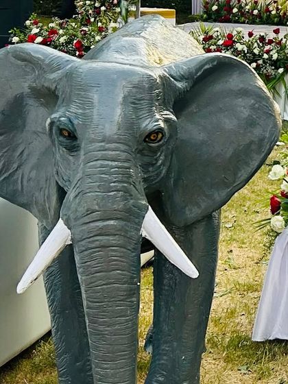 EPB Events - Wedding & Event Decoration Outdoor & Destination Events photo 5