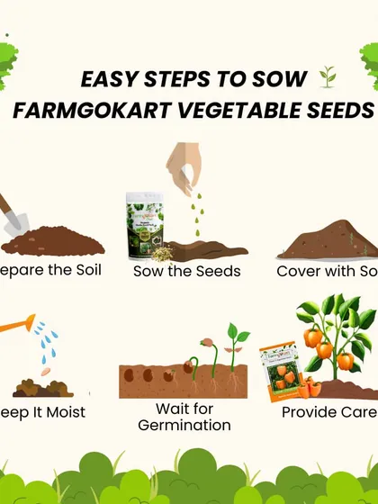 Sowing my vegetable seeds is as easy as this. This guide shows you how to prepare the soil, sow the seeds, cover them, and provide the right care for successful germination.