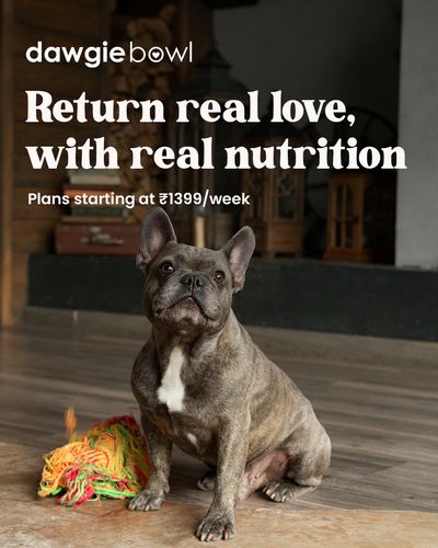 Weekly Meal Plans