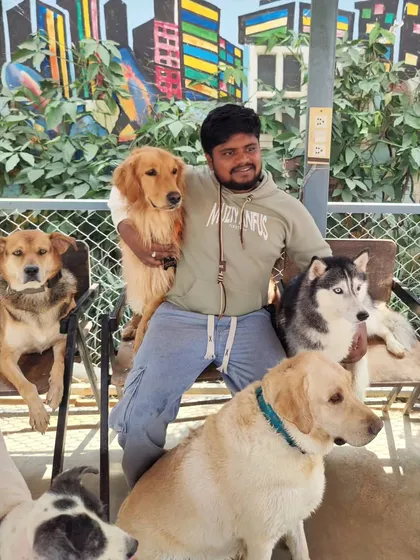 A guest holds a small Golden Retriever puppy while surrounded by other dogs, including a Husky and a Lab.