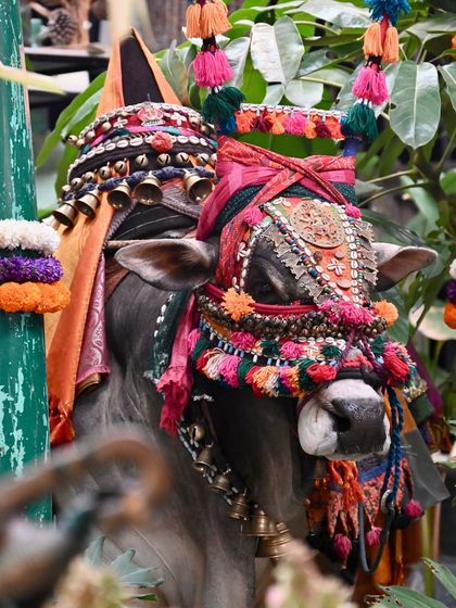 Greenhouse - Curated Artisan & Vintage Decor Our Curated Spaces & Store Vibe photo 6