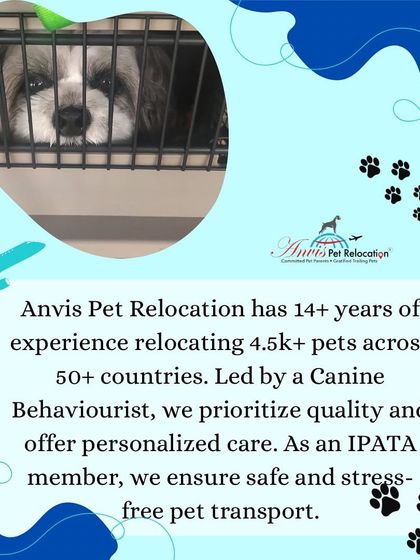 Anvis - Pet Relocation Our Relocation Process: Step-by-Step photo 8