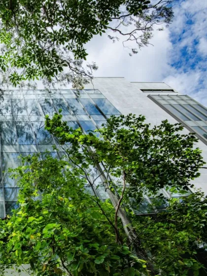 Looking up through the canopy, the building's angled glass facade reflects the sky and trees. This is a core principle of our biophilic design approach, integrating the structure with its natural surroundings.