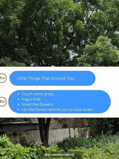 A simple reminder we like to share. In a world that moves so fast, nature grounds us. Touching grass, hugging a tree, or just listening to the forest can bring a sense of calm and peace.