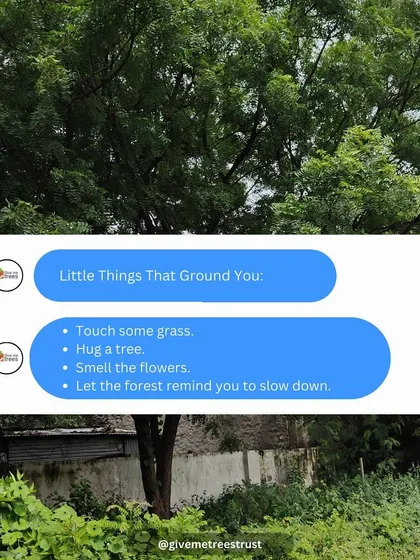A simple reminder we like to share. In a world that moves so fast, nature grounds us. Touching grass, hugging a tree, or just listening to the forest can bring a sense of calm and peace.