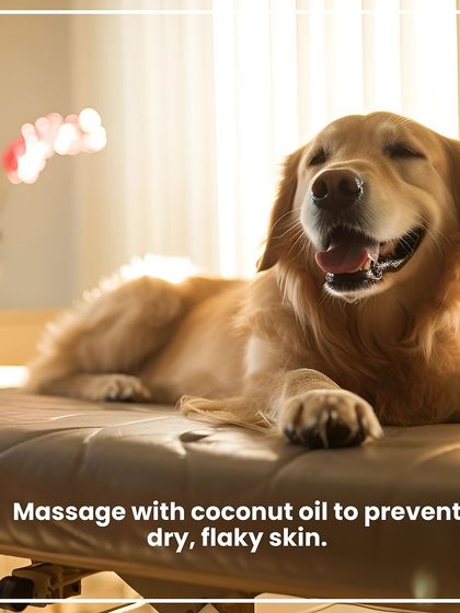 Kuddle - At-Home Pet Grooming Pet Parent Pro-Tips photo 11