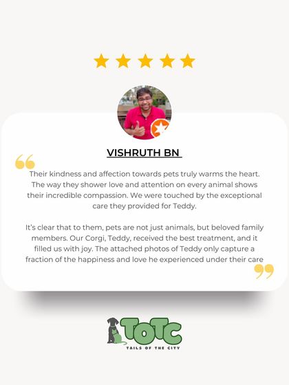 Tails of the City - Pet Spa & Creative Styling Pawsitive Feedback from Pet Parents photo 4