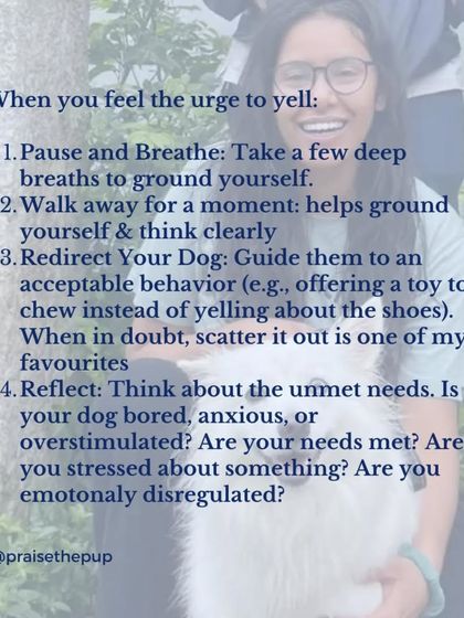 When you feel the urge to yell, there are better ways to handle the situation. Pause and breathe, redirect your dog to an acceptable behavior, and reflect on their unmet needs. This turns a moment of frustration into a learning opportunity.