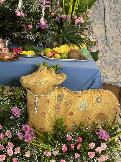 A repeat of the charming golden cow prop, this time with a focus on the offerings of fruit and coconuts on the altar table, highlighting the traditional elements of the Janmashtami puja.