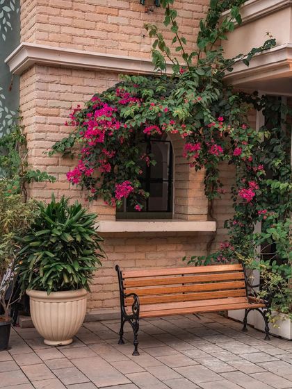 A quiet bench in my courtyard, framed by vibrant bougainvillea. It’s a small corner of my home in Amalfi, recreated here for you to enjoy.