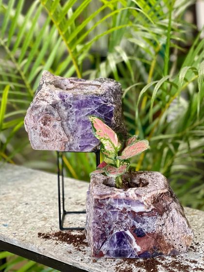 Greenhouse - Curated Artisan & Vintage Decor Decorative Pottery & Accents photo 7