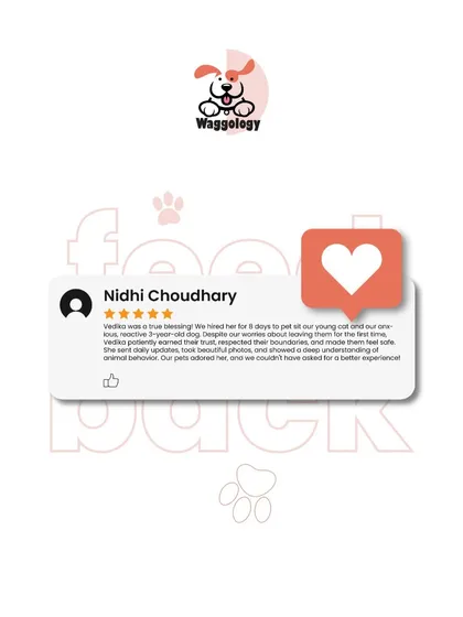 Your peace of mind is as important as your pet's comfort. I was so happy to receive this feedback, as it highlights my dedication to understanding each pet's unique needs, especially anxious ones. I provide daily updates with photos so you can see for yourself how your furry family is doing.