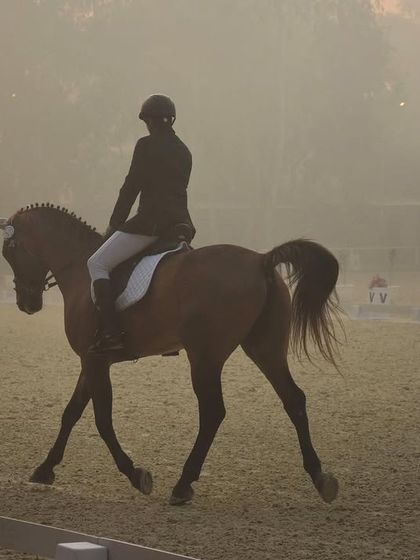 The Art of Dressage photo 9