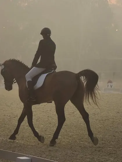 A throwback to the FEI World Dressage Challenge, showing a rider and horse in a moment of quiet grace. The misty morning adds to the elegance of the dressage discipline.