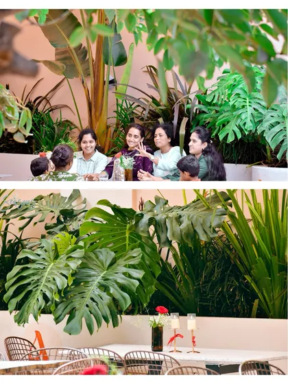 A collage showing how our plant installations become the backdrop for happy moments. The lush greenery, featuring giant Monstera leaves, creates a vibrant and inviting atmosphere for people to gather and connect.