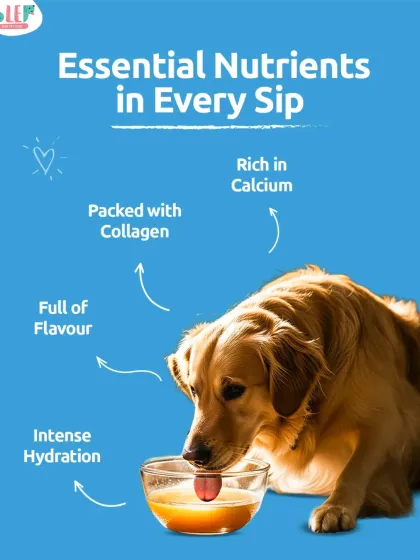 Every sip of our bone broth is packed with essential nutrients. It delivers intense hydration and flavor while being rich in collagen for joint support and calcium for strong bones. It's a simple way to boost your pet's daily nutrition.