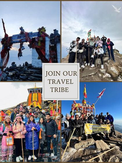 The Vibe: Your Travel Tribe Awaits photo 6