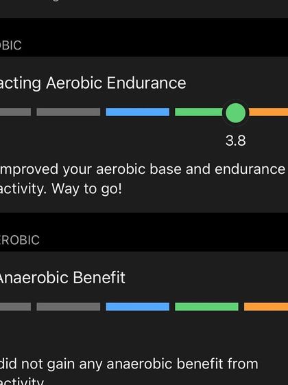An "Impacting Aerobic Endurance" score of 3.8. This data confirms that the workout successfully improved my aerobic base and endurance.
