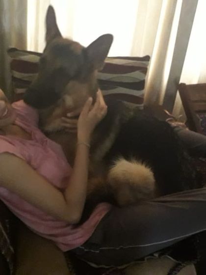 Sometimes he just wants to be a lap dog while we watch TV. These quiet moments of connection are what it's all about.