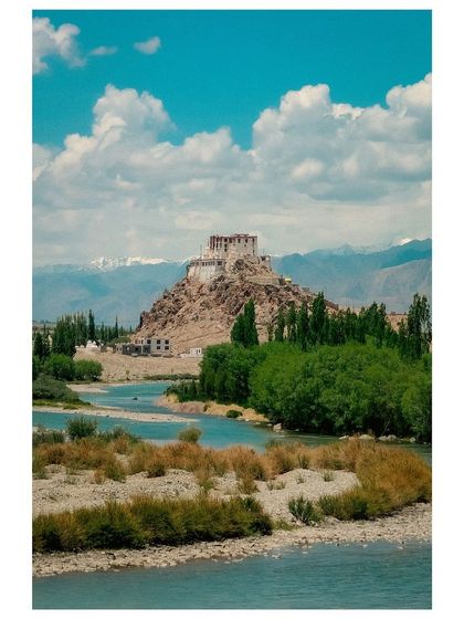 Stakna Monastery, perched on a hilltop overlooking the Indus River in Ladakh. The lush green trees provide a vibrant contrast to the arid landscape.