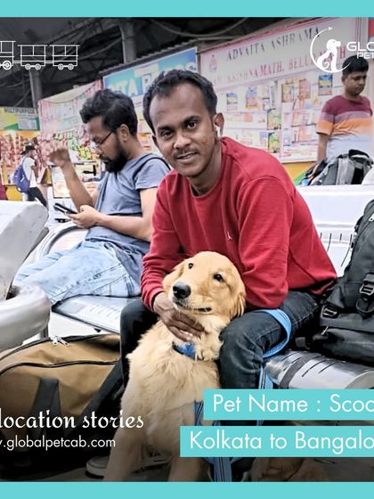 Global Pet Cab - Domestic Pet Relocation Train Travel: First-Class Coupe Journeys photo 28