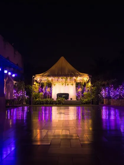 A stunning nighttime view of the Terrace Garden, with the stage and surrounding bushes illuminated in dramatic purple light.