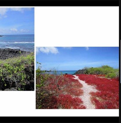 Papagoya - Play-Based Learning Workshops & Training A Glimpse into Our Classrooms photo 24